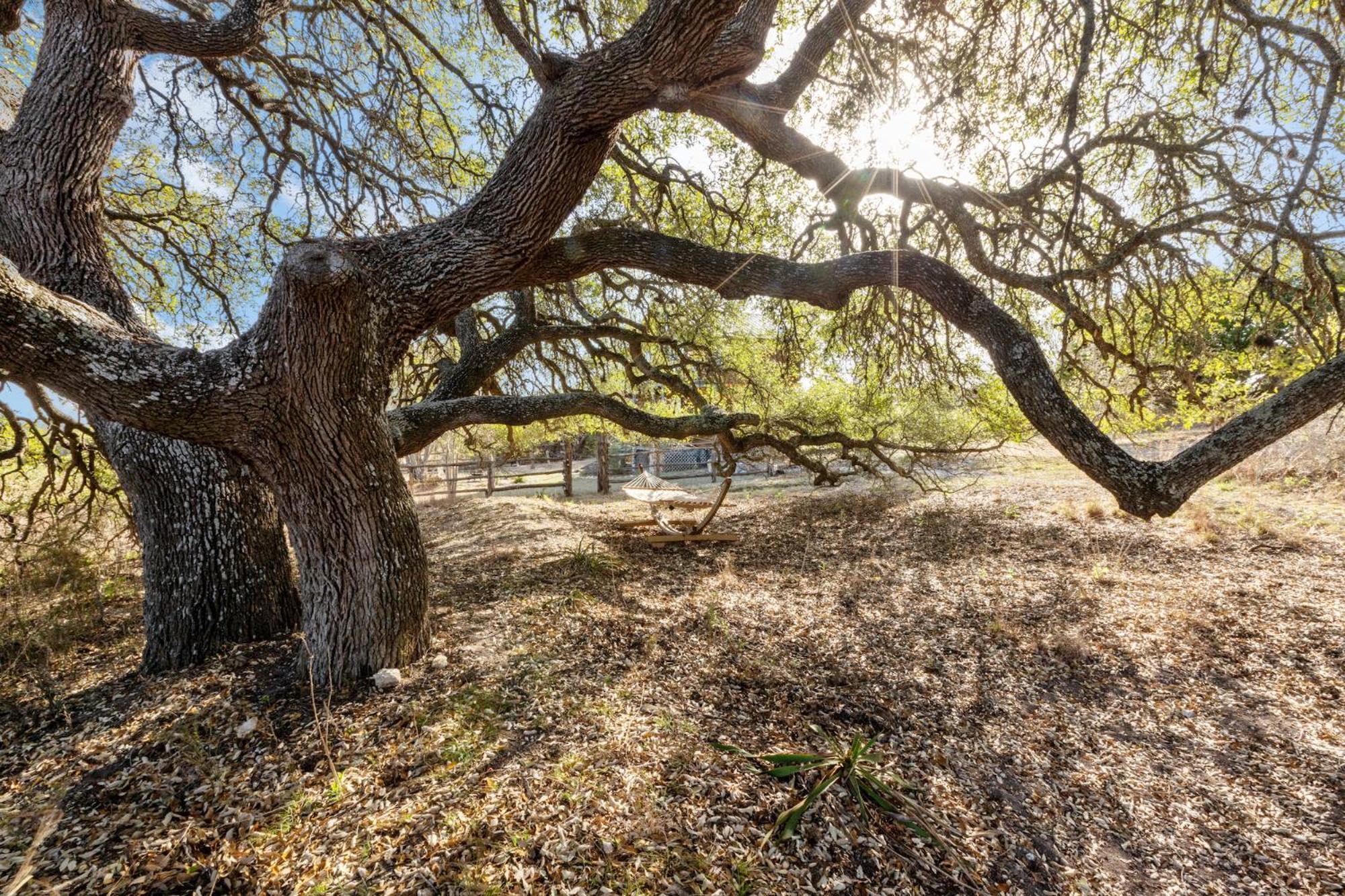 פרדריקסברג Mighty Oak Log Cabin מראה חיצוני תמונה